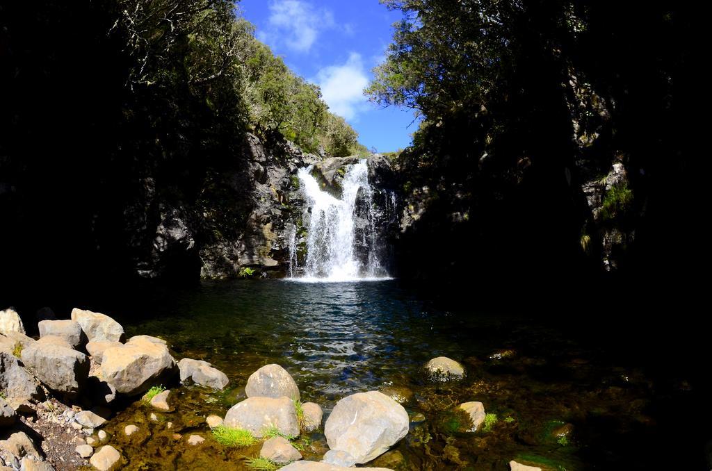 Vila Toca Funchal  Ngoại thất bức ảnh