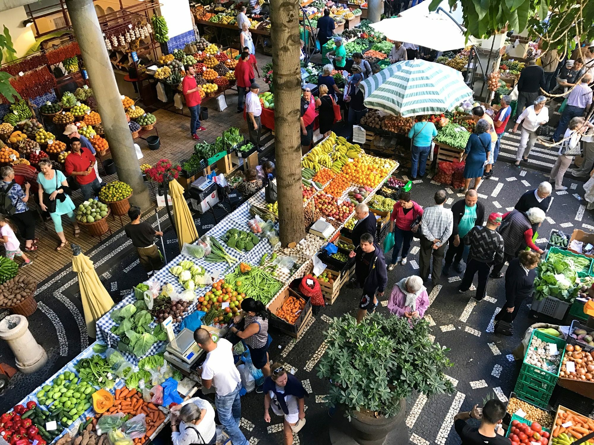 Vila Toca Funchal  Ngoại thất bức ảnh